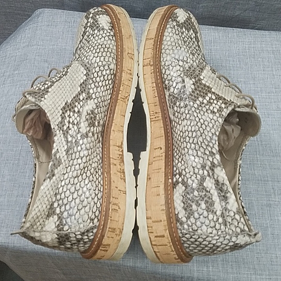 AGL Attilio Giusti Leomruni Oxfords Shoe  Snake Print Leather cork platform 41 - Picture 12 of 14